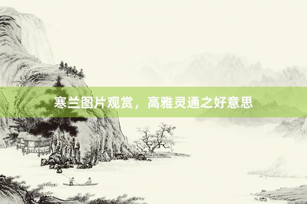 寒兰图片观赏，高雅灵通之好意思